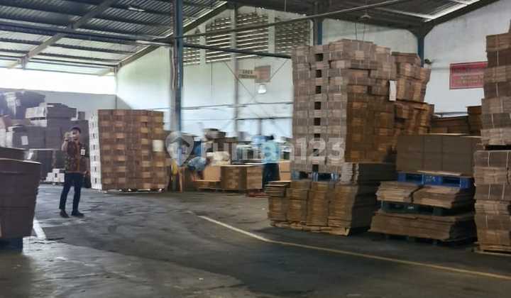 Quick Sale: Ready-to-Use Cardboard Factory for Takeover