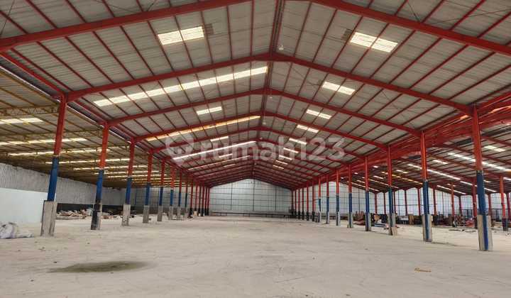 Disewakan Cepat Gudang Premium Legok Siap Pakai Disewakan Cepat Gudang Premium Legok Siap Pakai