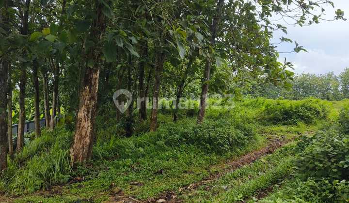 Dijual Cepat Tanah Kavling Industri Murah Siap Bangun