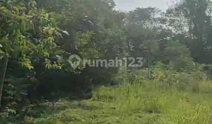Industrial Plot Land for Sale in Bitung, Cheap, Ready to Build Industrial Plot Land for Sale in Bitung, Cheap, Ready to Build