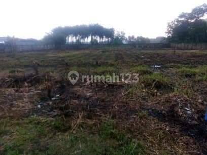 Dijual Cepat Tanah Kavling Industri Tigaraksa Murah Siap Bangun 1