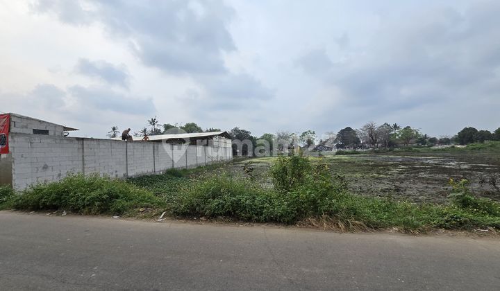 For Sale: Rajeg Industrial Zone Plots Ready to Build