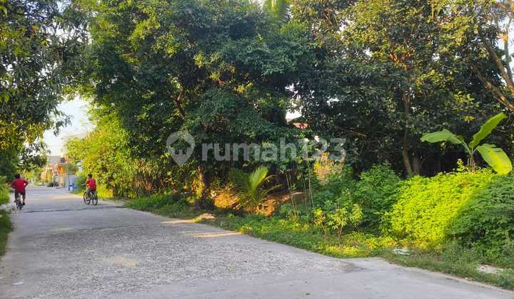 Dijual Cepat Tanah Kavling Pasar Kemis Murah Siap Bangun