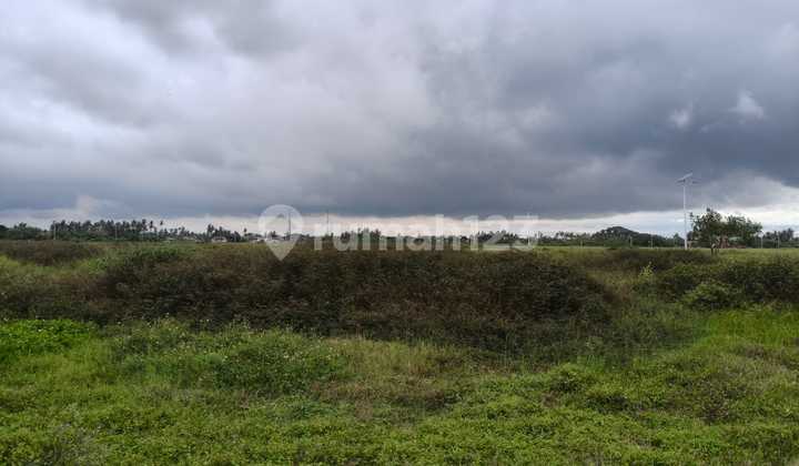 Dijual Cepat Tanah Benda Dibawah NJOP Siap Bangun 1