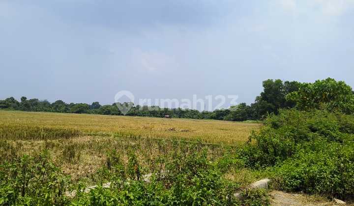 Dijual Cepat Tanah Komersil Premium Kedoya Siap Bangun