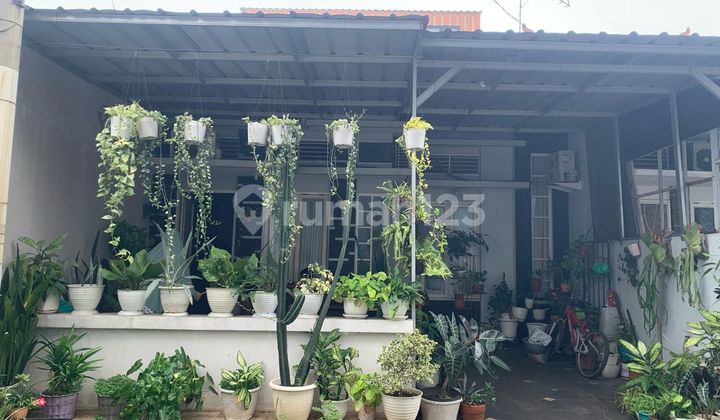 Rumah Hadap Selatan SHM 10 Mnt ke Mall Ciputra Cibubur J-32683 Rumah Hadap Selatan SHM 10 Mnt ke Mall Ciputra Cibubur J-32683