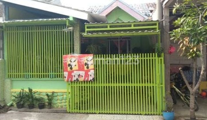 Rumah Murah 7 Menit ke Terminal Cileungsi 2 Kamar Bebas Banjir J37792 Rumah Murah 7 Menit ke Terminal Cileungsi 2 Kamar Bebas Banjir J37792