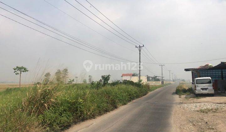 Tanah di Kronjo tangerang 6,6 hectare SHM 1