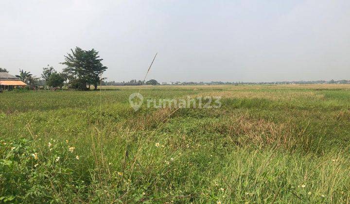 Tanah di Kronjo tangerang 6,6 hectare SHM 2