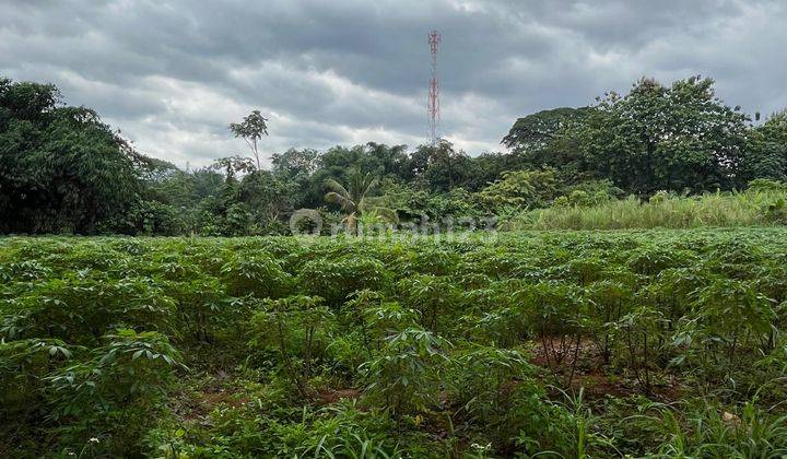 DIJUAL TANAH STRATEGIS SAMPING UNIVERSITAS SWASTA DI CIMANGGIS DEPOK 2