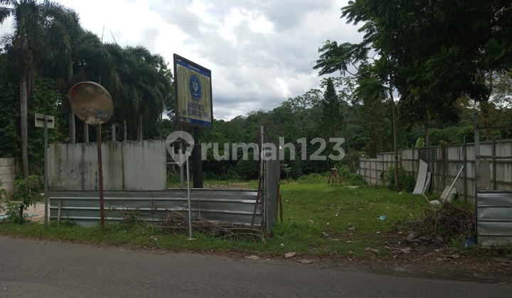 Tanah Pinggir Jalan Alternatif Ipb Dramaga Cocok untuk Kos Kosan Mahasiswa