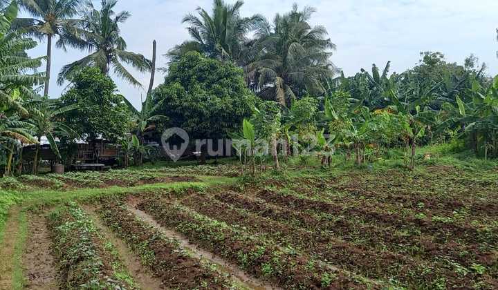 Jual Tanah Darat Di Jalan Raya Perahu Balaraja Tangerang