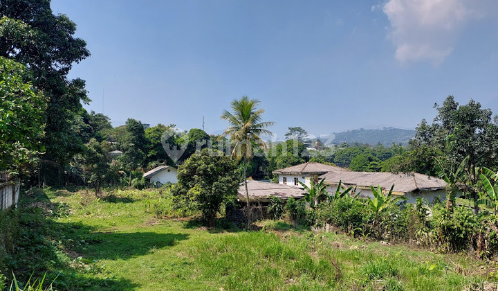 Kaveling Cipayung Cibogo Jalan Raya Puncak Gadog 2,720 M2 SHM 2