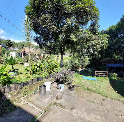 Tanah Kaveling Hoek 720 M2 SHM Dekat Hotel Pesona Alam Cisarua Tanah Kaveling Hoek 720 M2 SHM Dekat Hotel Pesona Alam Cisarua