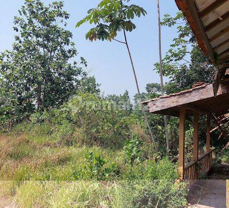 Tanah Kaveling 4.470 M2 Bangbayang, Cicurug, Sukabumi, Jawa Barat 2