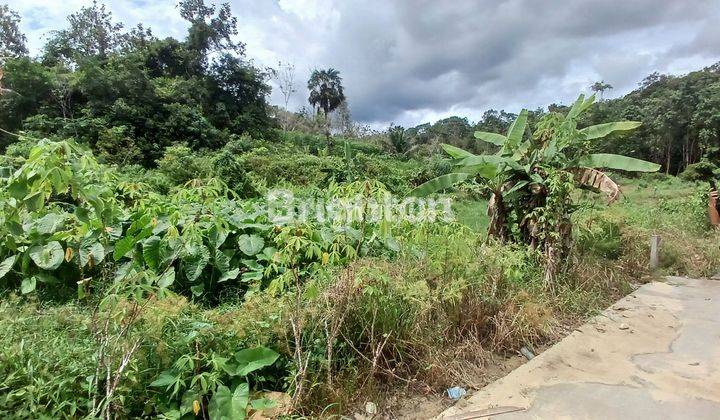 DIJUAL TANAH PINGGIR JALAN COR PERUMAHAN LOKASI KM 12 COCOK DIBUAT RUMAH TINGGAL, KONTRAKAN, KEBUN DAN PETERNAKAN HARGA NEGO 1