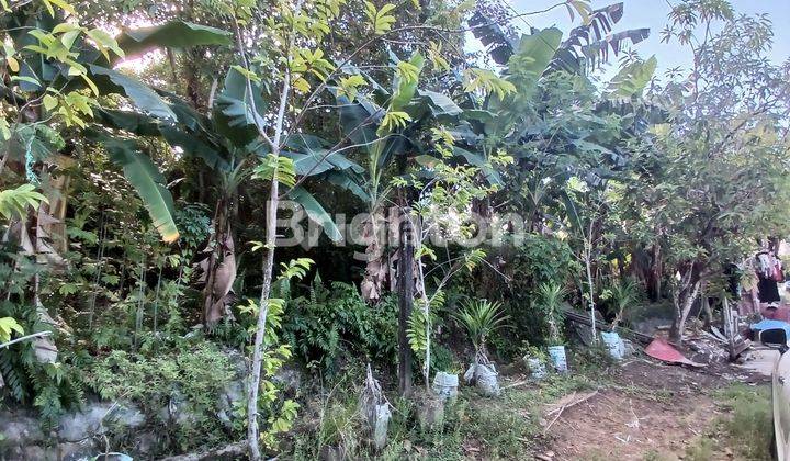 TANAH PINGGIR JALAN COR PERUMAHAN LOKASI STRATEGIS  DALAM KOTA COCOK DIBUAT RUMAH TINGGAL, KONTRAKAN ATAU KOS KOSAN 1