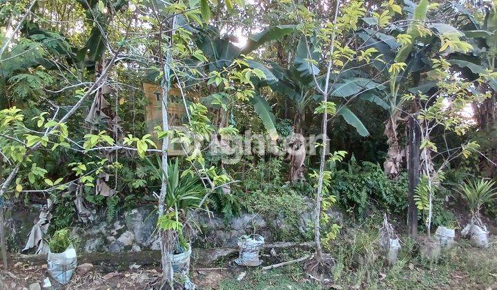 TANAH PINGGIR JALAN COR PERUMAHAN LOKASI STRATEGIS  DALAM KOTA COCOK DIBUAT RUMAH TINGGAL, KONTRAKAN ATAU KOS KOSAN 2