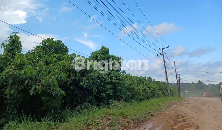 TANAH/LAHAN PINGGIR JALAN POROS KILO 13 PULAU BALANG  COCOK DIBUAT GUDANG, PABRIK, WORKSHOP DAN USAHA