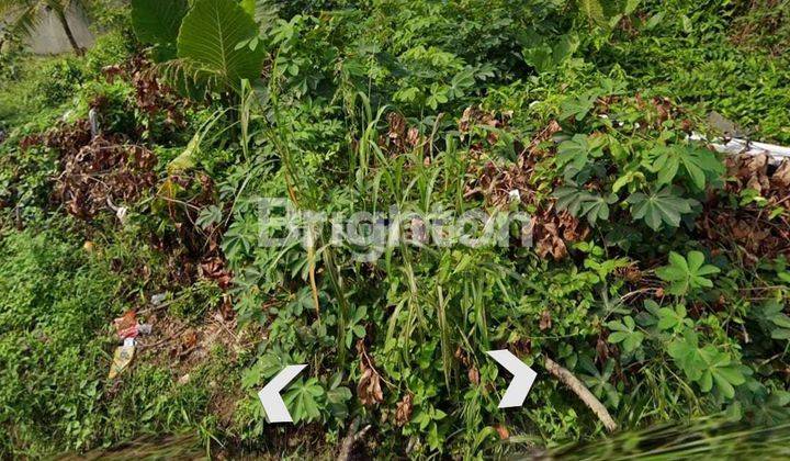 TANAH PINGGIR JALAN COR PERUMAHAN DAERAH INDRAKILA LOKASI STRATEGIS TENGAH KOTA COCOK DIBUAT RUMAH TINGGAL, KONTRAKAN ATAU KOS KOSAN 1