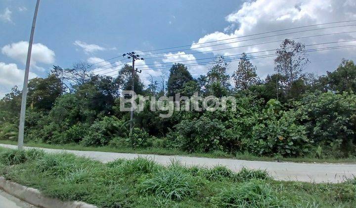 TANAH/LAHAN PINGGIR JALAN POROS KILOMETER 13 PULAU BALANG COCOK DIBUAT GUDANG, WORKSHOP DAN INDUSTRIAL 2