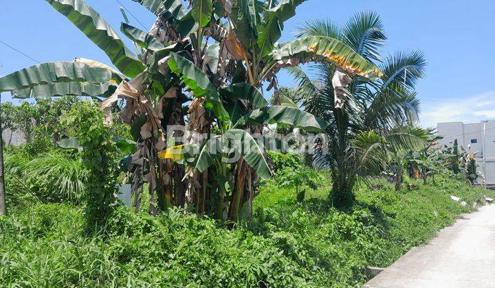 TANAH PINGGIR JALAN COR PERUMAHAN LOKASI BATU AMPAR PERUMAHAN SOSIAL COCOK DIBUAT RUKO, RUMAH TINGGAL, KOS KOSAN ATAU KONTRAKAN HARGA NEGO 1