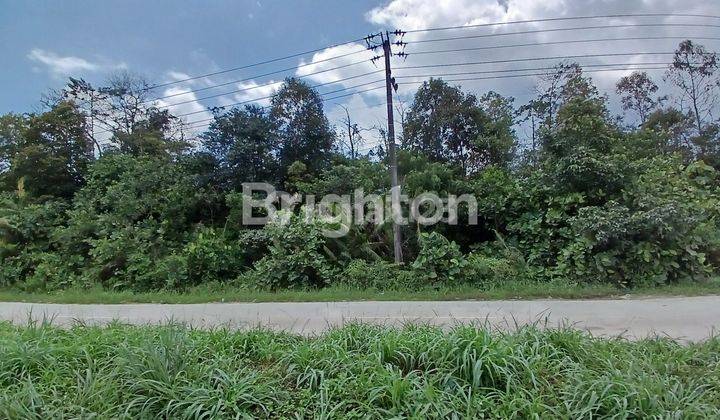 TANAH/LAHAN PINGGIR JALAN POROS KILOMETER 13 PULAU BALANG COCOK DIBUAT GUDANG, WORKSHOP DAN INDUSTRIAL 1