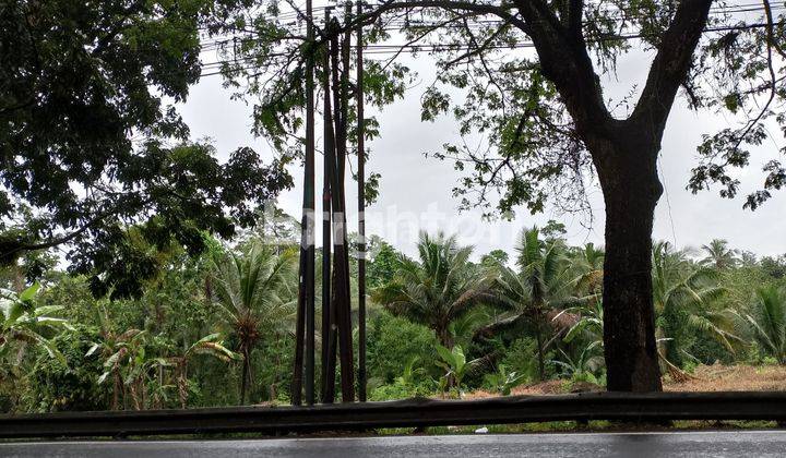 Cheap Land in Sembung Gede Village Location Jl Raya Denpasar Gilimanuk 2