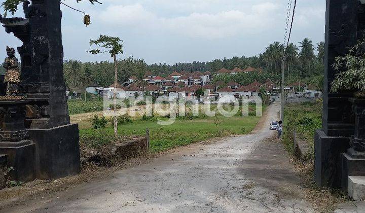 Tanah Murah di Kerambitan Meliling Tabanan 1