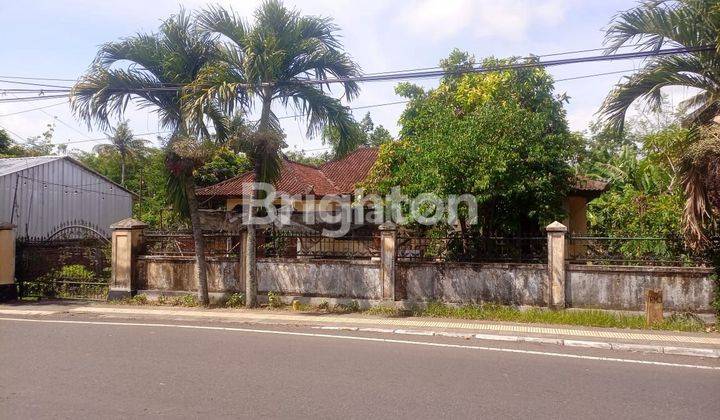 FAST PREMIUM LAND IN JEMBRANA CITY 2