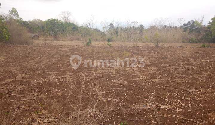 Tanah Strategis di Nusa Penida Tanah di Nusa Penida Tanah Strategis di Nusa Penida Tanah di Nusa Penida