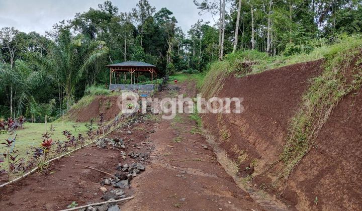 INVESTASI TANAH AGROWISATA VIEW GUNUNG BATUKARU INVESTASI TANAH AGROWISATA VIEW GUNUNG BATUKARU