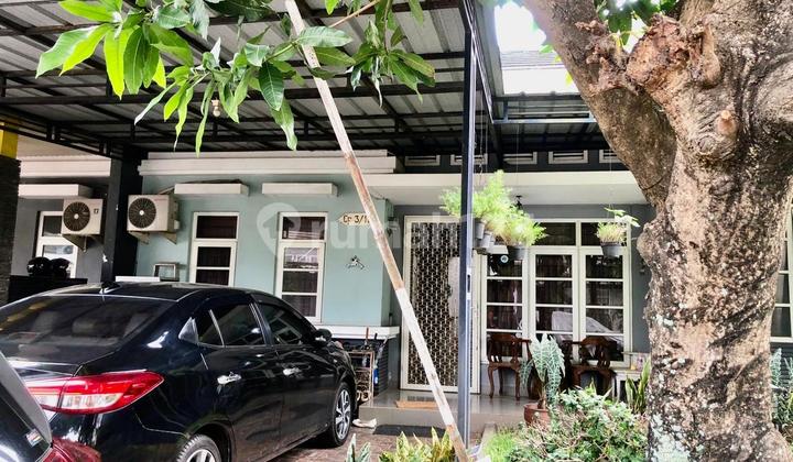 Rumah Bagus Di Perum Cibubur Country Cluster Cotton Field Cibubur Rumah Bagus Di Perum Cibubur Country Cluster Cotton Field Cibubur