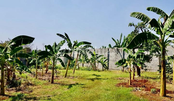 Kavling Siap Bangun Di Pisok Bintaro Jaya Sektor 5. Kavling Siap Bangun Di Pisok Bintaro Jaya Sektor 5.