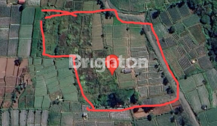  TANAH PEKARANGAN LUAS DI LOMBOK TIMUR 1
