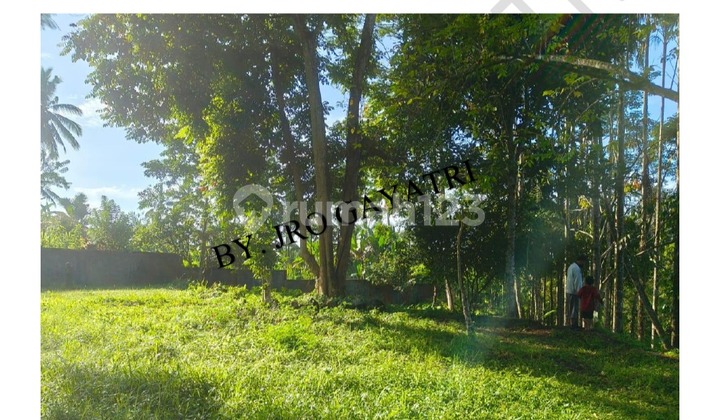 Land Area 4 Hectares with Ayung River View - Buahan Kaja Village, Payangan, Gianyar