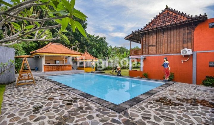 HOMESTAY LEASEHOLD DI PECATU – LOKASI PREMIUM & BERJALAN STABIL HOMESTAY LEASEHOLD DI PECATU – LOKASI PREMIUM & BERJALAN STABIL