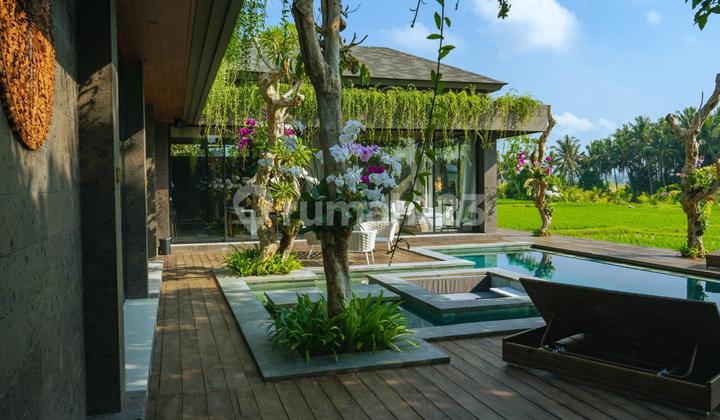 VILLA MEWAAH DI SANUR SEWA 4 TAHUN