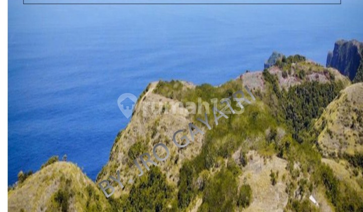 Tanah Lost Tebing 54 Hektar - Desa Batukandik, Nusa Penida, Klungkung, Bali Tanah Lost Tebing 54 Hektar - Desa Batukandik, Nusa Penida, Klungkung, Bali