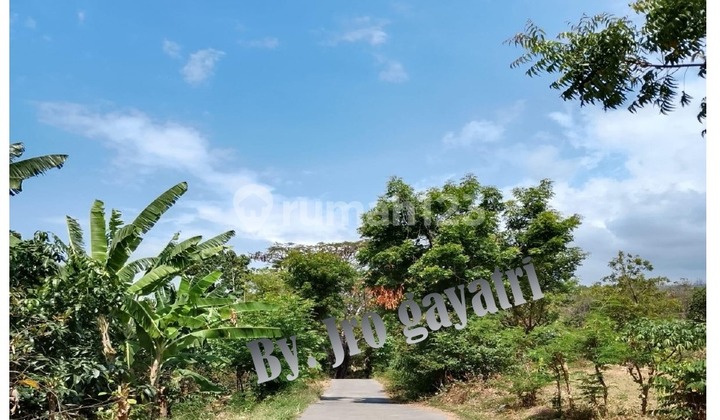 TANAH LUAS 5 HEKTAR DI DESA BUKTI BULELENG