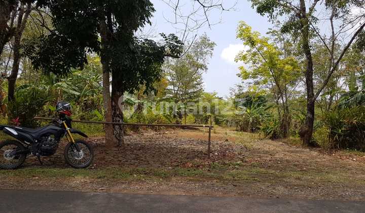 Tanah Mainroad Sukabumi Ciletuh Shm Pribadi