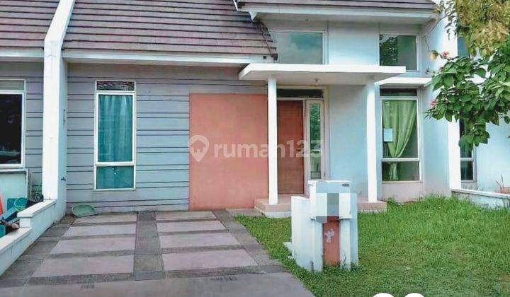 Disewa Cepat Rumah Rapih Siap Huni Uk 8x17 Di Suvarna Cikupa Lavon 1