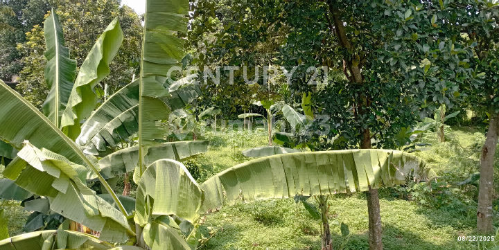 Land for Sale, Suitable for Housing in Limo, Depok