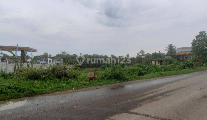 Kavling Lokasi Strategis Di Sepang, Kecamatan Taktakan ,Kota Serang - Banten 2