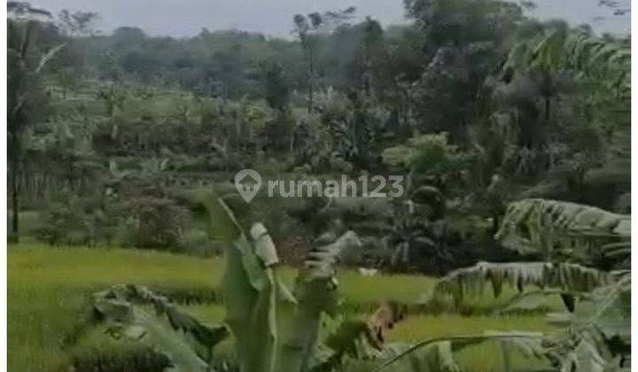 Tanah Desa Cigudeg, Kampung Babakan, Bogor Luas 1,8 Ha 2