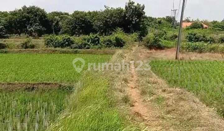 Kavling Kampung Jaringao, Pabuaran Subang Dekat Kawasan Industri