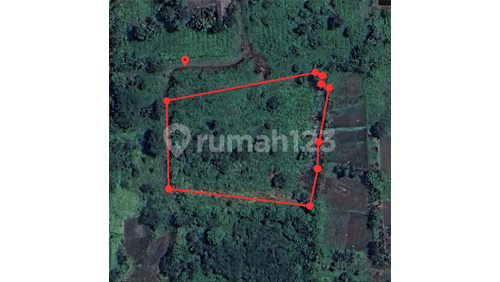 Kavling 6208 M2 Di Kampung Jambum Rajeg, Tangerang