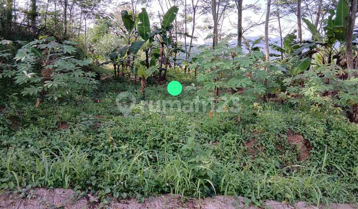 Wts / Dijual Cepat Kavling Siap Bangun dan Lokasi Strategis di Daerah Leuwiling, Bogor, Jawa Barat