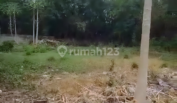 For Rent Green Ville Land For Business Or Sports Field