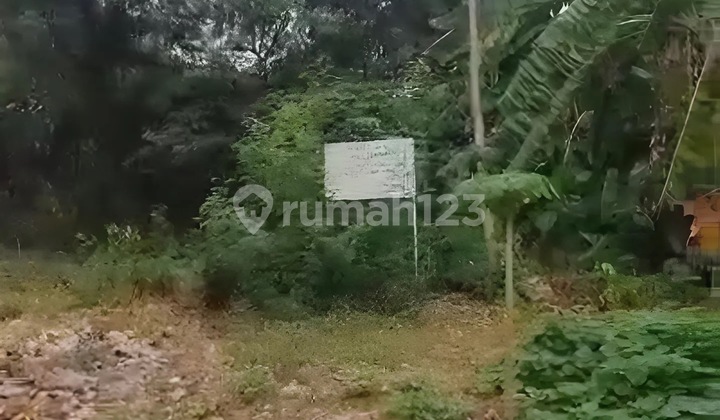 Dijual Lahan Tanah Green Ville Bisa Untuk Lapangan Atau Perumahan